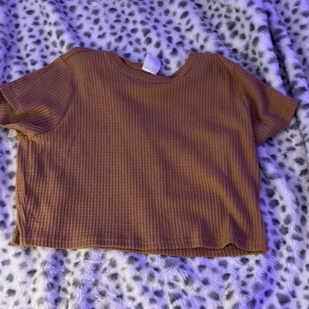 Orange-tan short sleeve crop-top, size XL, Rue 21